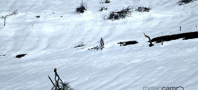 Alud de nieve reciente en Fontecha