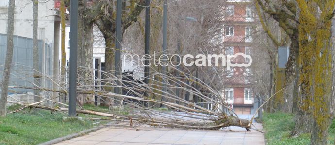 Las rachas de viento superan los 110 km/h y causan numerosos desperfectos