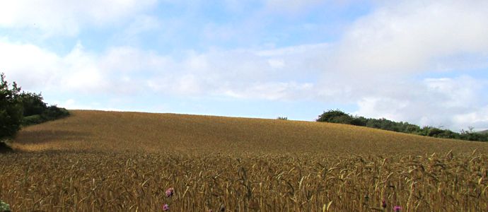 Valderredible la sartn de Cantabria?